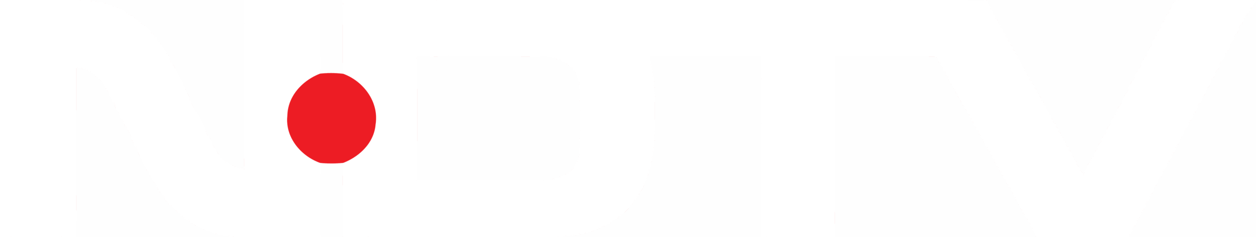 1. NDTV Logo (White)